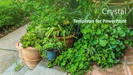  Presentation with flower pots - Beautiful presentation design featuring variation-of-plants-and-flower backdrop and a forest green colored foreground