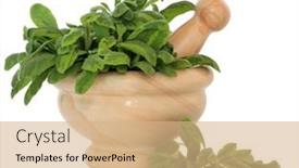  Presentation with sage - Presentation theme having variegated sage herb leaf sprigs in a marble mortar with pestle over white background background and a coral colored foreground