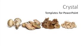  Presentation with mushrooms - Amazing theme having variety-of-autumn-mushrooms backdrop and a white colored foreground