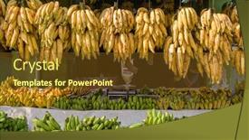  Presentation with kerala - Slide deck with variety-of-bananas-in-banana background and a tawny brown colored foreground