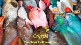  Presentation with colorful - PPT theme enhanced with variety of colorful fresh fish background and a tawny brown colored foreground