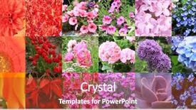  Presentation with color - Cool new slide deck with variety of flowers and plant backdrop and a tawny brown colored foreground