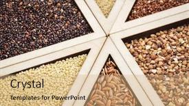  Presentation with rice grains - PPT theme enhanced with variety of gluten free grains background and a coral colored foreground