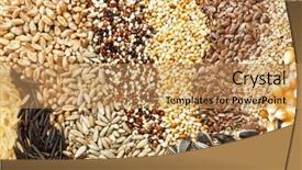  Presentation with rice seed - Cool new PPT theme with variety of grains and seeds backdrop and a  colored foreground