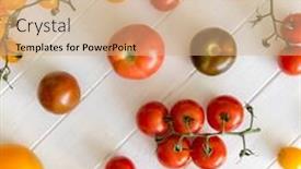  Presentation with tomato - PPT layouts featuring variety of kinds of tomato on a white wooden background background and a coral colored foreground