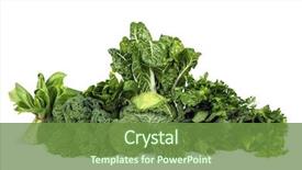  Presentation with white green - Presentation design featuring variety of leafy green vegetables background and a tawny brown colored foreground