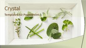  Presentation with herbs on wood - Audience pleasing PPT theme consisting of variety of leaves from herbs backdrop and a soft green colored foreground