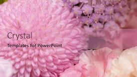  Presentation with container - Slide set featuring variety-of-purple-blossoms background and a  colored foreground