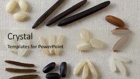  Presentation with rice grain - Presentation consisting of variety of rice grain background and a light gray colored foreground