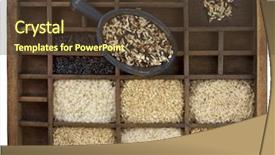  Presentation with basmati rice white rice rice - Colorful presentation theme enhanced with variety of rice grains white backdrop and a tawny brown colored foreground