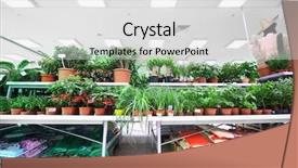  Presentation with pottery - PPT theme with variety of small pottery plant background and a light gray colored foreground