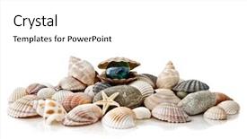  Presentation with stylized - Cool new presentation theme with various color shells with stylized backdrop and a white colored foreground
