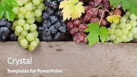  Presentation with colorful mardi gras - Colorful presentation enhanced with various colorful grapes on wooden backdrop and a gray colored foreground