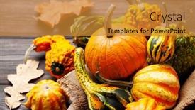  Presentation with harvest - PPT layouts with various-colorful-squashes-and-pumpkins background and a gold colored foreground