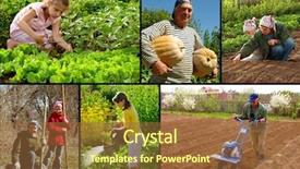  Presentation with farming - Audience pleasing presentation theme consisting of various farming activities backdrop and a tawny brown colored foreground