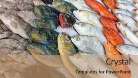  Presentation with market - Beautiful PPT theme featuring various fishes at the thailand backdrop and a coral colored foreground