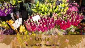  Presentation with wall street price - Presentation design with various-flower-bouquets-in-baskets background and a gold colored foreground