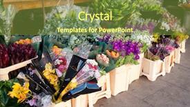  Presentation with plastic containers - Amazing slides having various flower bouquets in plastic backdrop and a tawny brown colored foreground