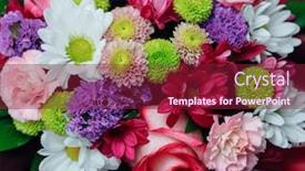  Presentation with tropical flowers close up - Presentation with various-flowers-bouquet-close-up background and a violet colored foreground