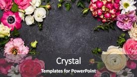  Presentation with space wormhole or black - Presentation theme consisting of various flowers on black background background and a dark gray colored foreground