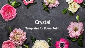  Presentation with space wormhole or black - Presentation featuring various flowers on black background background and a dark gray colored foreground