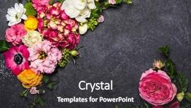  Presentation with flowers - Amazing slide deck having various flowers on black background overhead view with copy space backdrop and a dark gray colored foreground