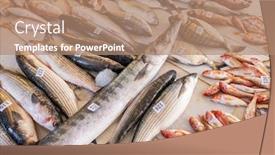  Presentation with auction - Presentation with various-fresh-fish-for-sale background and a coral colored foreground