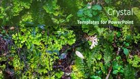  Presentation with jungle - Beautiful presentation featuring various-green-leaves-background backdrop and a tawny brown colored foreground