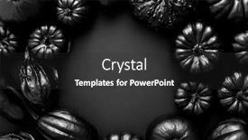  Presentation with cute - Presentation design consisting of various-kinds-cute-mini-pumpkins background and a dark gray colored foreground