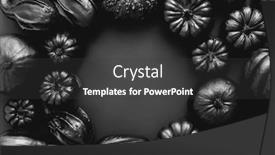  Presentation with cute - PPT theme having various-kinds-cute-mini-pumpkins background and a dark gray colored foreground
