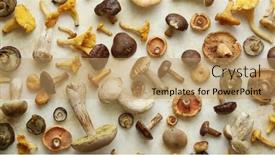  Presentation with mushrooms - PPT theme having various-kinds-of-assorted-raw background and a coral colored foreground