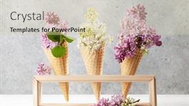  Presentation with ice cream cones - Presentation theme with various-lilac-flowers-in-ice background and a soft green colored foreground