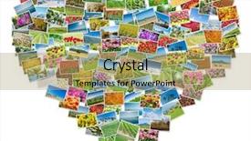  Presentation with photo album - Audience pleasing slide deck consisting of various nature photos arranged backdrop and a  colored foreground