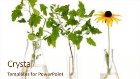  Presentation with plant chemistry - Cool new theme with young man holding a small blue safe and pointing towards it with his finger isolated on white background backdrop and a coral colored foreground