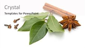  Presentation with spices - Cool new PPT theme with various-spices-isolated-over-white backdrop and a white colored foreground