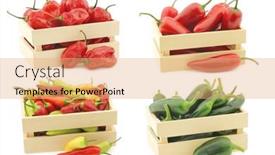  Presentation with gear box - Beautiful slide set featuring various-spicy-peppers backdrop and a coral colored foreground