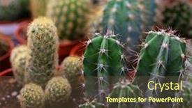  Presentation with cactus - Presentation design featuring various-types-of-green-cactus background and a tawny brown colored foreground