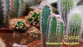  Presentation with cactus - Audience pleasing theme consisting of various-types-of-green-cactus backdrop and a tawny brown colored foreground
