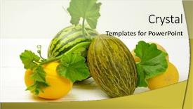  Presentation with melon - Audience pleasing PPT theme consisting of various types of melon backdrop and a soft green colored foreground