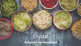  Presentation with slate - PPT theme having various-types-of-micro-greens background and a gray colored foreground