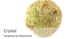 Presentation with root - Colorful PPT layouts enhanced with vars - fresh celery root apium graveolens backdrop and a  colored foreground