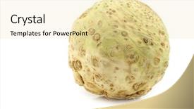  Presentation with root - Colorful slide deck enhanced with vars - fresh celery root apium graveolens backdrop and a  colored foreground