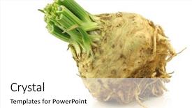  Presentation with celery - PPT theme enhanced with vars - fresh celery root with some background and a  colored foreground
