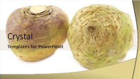  Presentation with root - PPT theme featuring vars - fresh turnip brassica rapa rapa background and a yellow colored foreground