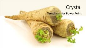  Presentation with fresh ginger root on white - Amazing slides having vars - freshly harvested turnip rooted parsley backdrop and a blonde colored foreground