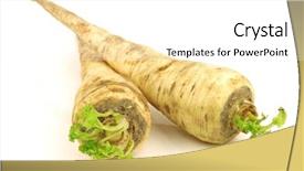 Presentation with fresh ginger root on white - Beautiful PPT theme featuring vars - freshly harvested turnip rooted parsley backdrop and a white colored foreground