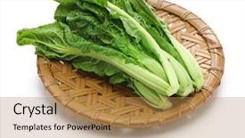  Presentation with brassica juncea - Amazing presentation having vars - japanese takana brassica juncea var backdrop and a coral colored foreground