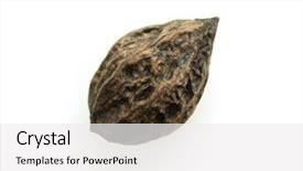  Presentation with walnut - Amazing PPT theme having vars - walnut from japanese walnut juglans backdrop and a  colored foreground