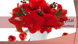  Presentation with cookies christmas - Slide set with vase and cookies for christmas background and a crimson colored foreground