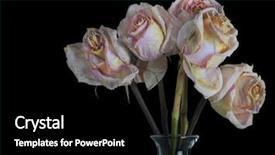  Presentation with faded black - PPT layouts enhanced with vase of faded pink rose background and a black colored foreground